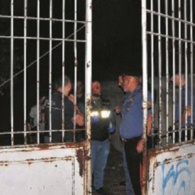 Il luogo del delitto. Oltre il cancello, l’esecuzione
