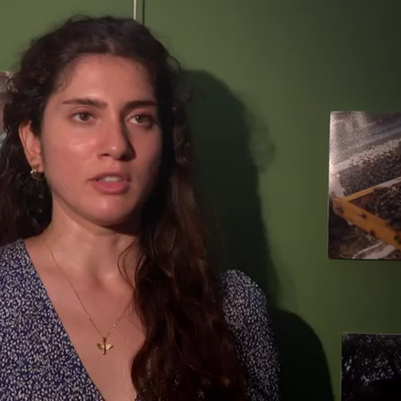 Nasce a Palermo il museo “Terra Franca Memoria Digitale”, Francesca Moavero, responsabile del progetto