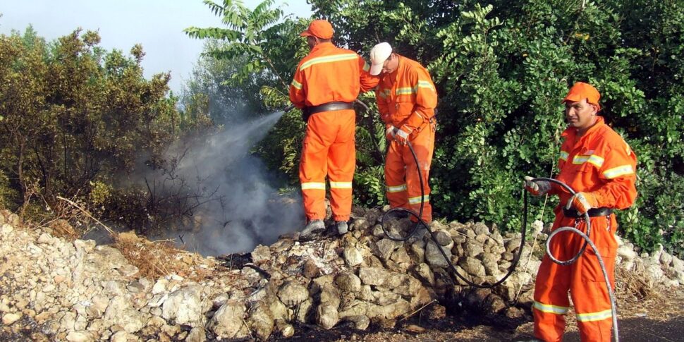 https://assets.gds.it/2025/06/Incendi-forestali-970x485.jpg