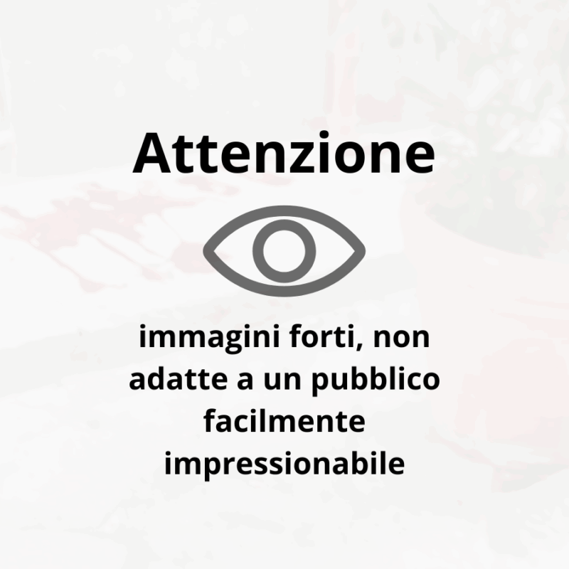 Notte di violenza a Palermo, scia di sangue sulle strade di Ballarò