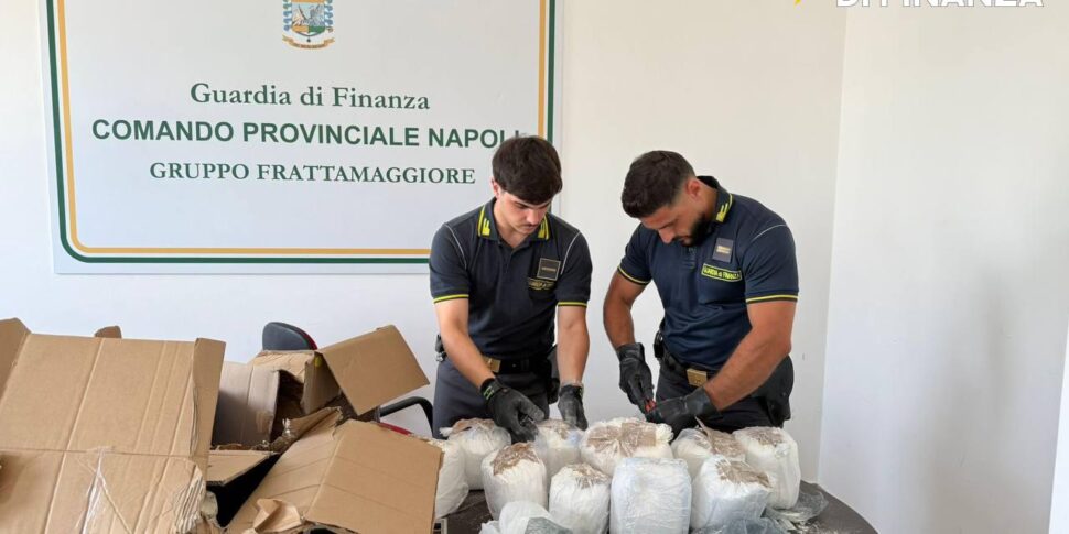 https://assets.gds.it/2025/06/finanza-droga-usa-970x485.jpg