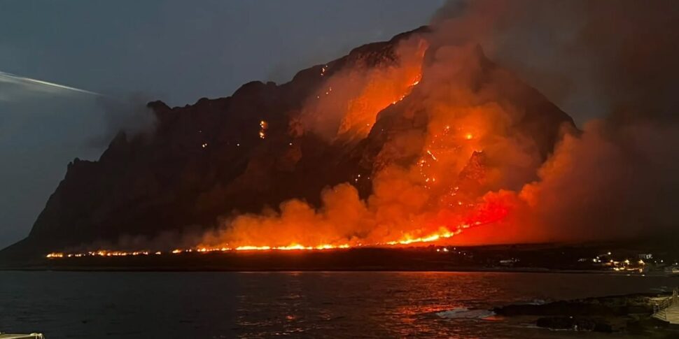 https://assets.gds.it/2025/07/Cofano-970x485.jpeg