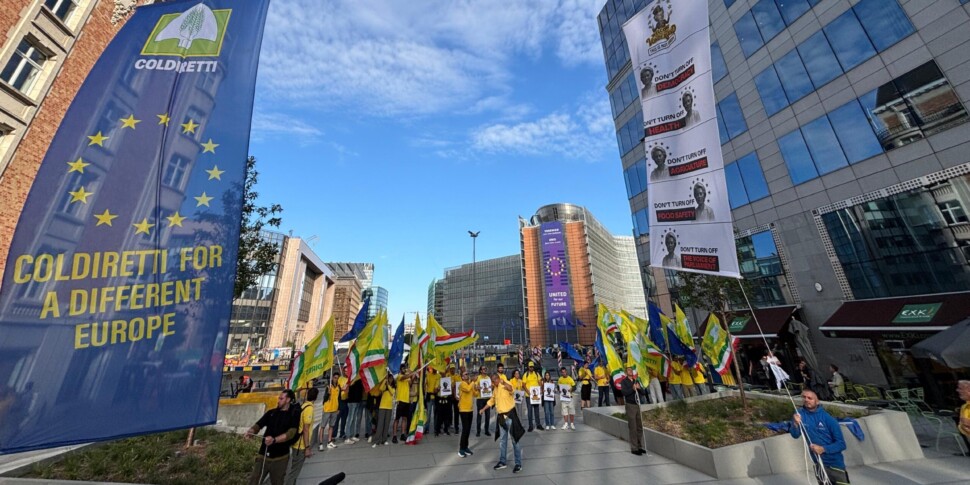 https://assets.gds.it/2025/07/coldiretti-a-bruxelles-scaled-970x485-1752578003.jpg