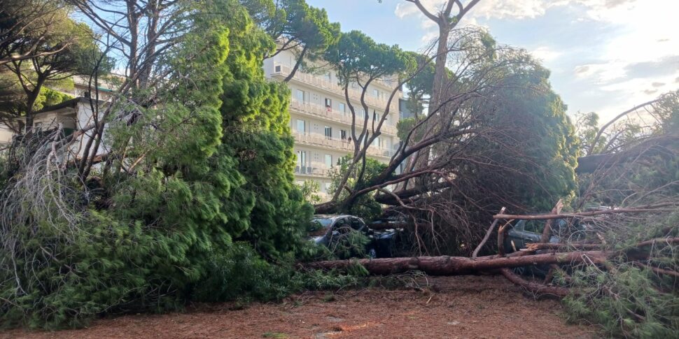 https://assets.gds.it/2025/08/A-Milano-Marittima-pini-sulle-auto-zone-irraggiungibili-_87000367-970x485.jpg