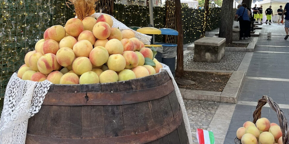 https://assets.gds.it/2025/08/PescaBivona-01-970x485.jpg