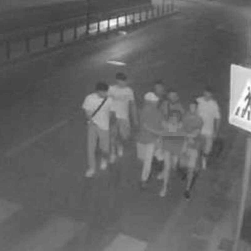 "Falla ubriacare, poi ci pensiamo noi". E' iniziata in questo modo, a Palermo, la notte da incubo di una diciannovenne, violentata da sette giovani, finiti in manette a oltre un mese di distanza dai fatti, avvenuti la notte del 7 luglio. L'invito a far bere la ragazza era rivolto da uno degli indagati all'oste, un ambulante che vendeva alcol nel quartiere della Vucciria, sede di uno dei mercati storici del capoluogo siciliano che a sera viene preso d'assalto dal popolo della movida. La ragazza, poco dopo, è stata condotta dai sette, tutti giovani di età compresa tra i 18 e i 22 anni ad eccezione di uno all'epoca dei fatti minorenne, in una zona appartata del Foro Italico e ripetutamente violentata.ANSA