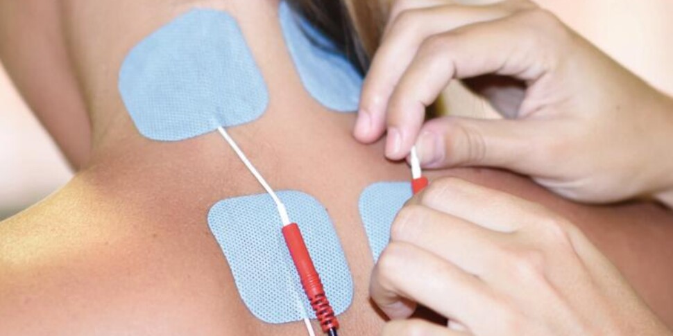 Allergie: Come La Fitoterapia Può Aiutare Ad Alleviare I Sintomi In Modo Naturale