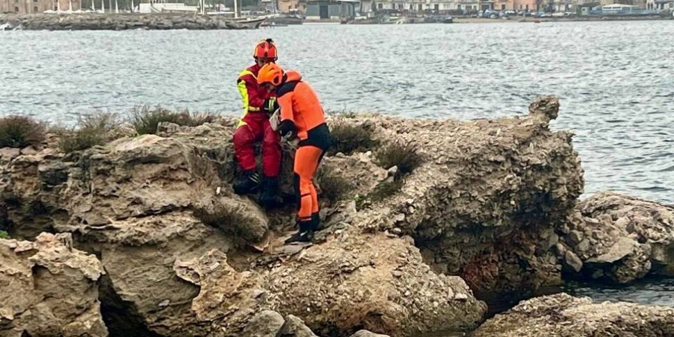 Sferracavallo, un cane abbandonato bloccato sugli scogli: lo salvano i ...