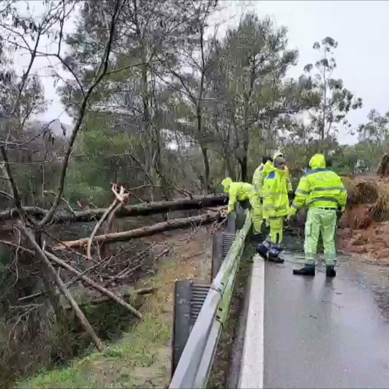 Il ciclone Harry e le frane in Sicilia, chiusa la statale 288 ad Aidone: riaperta la 185 nel Messinese