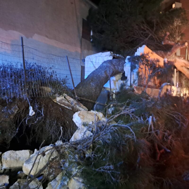 Paura nella notte a Erice Casa Santa, crolla un albero in via Emilia: distrutto un magazzino. Le foto
