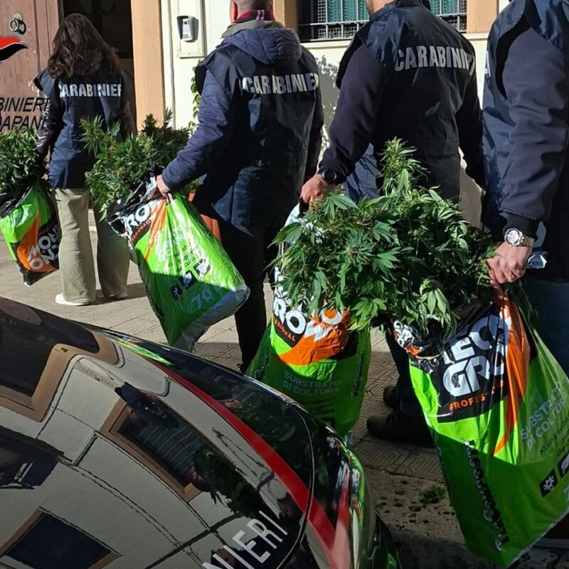 Palermitano arrestato ad Alcamo, aveva impiantato una serra indoor di cannabis