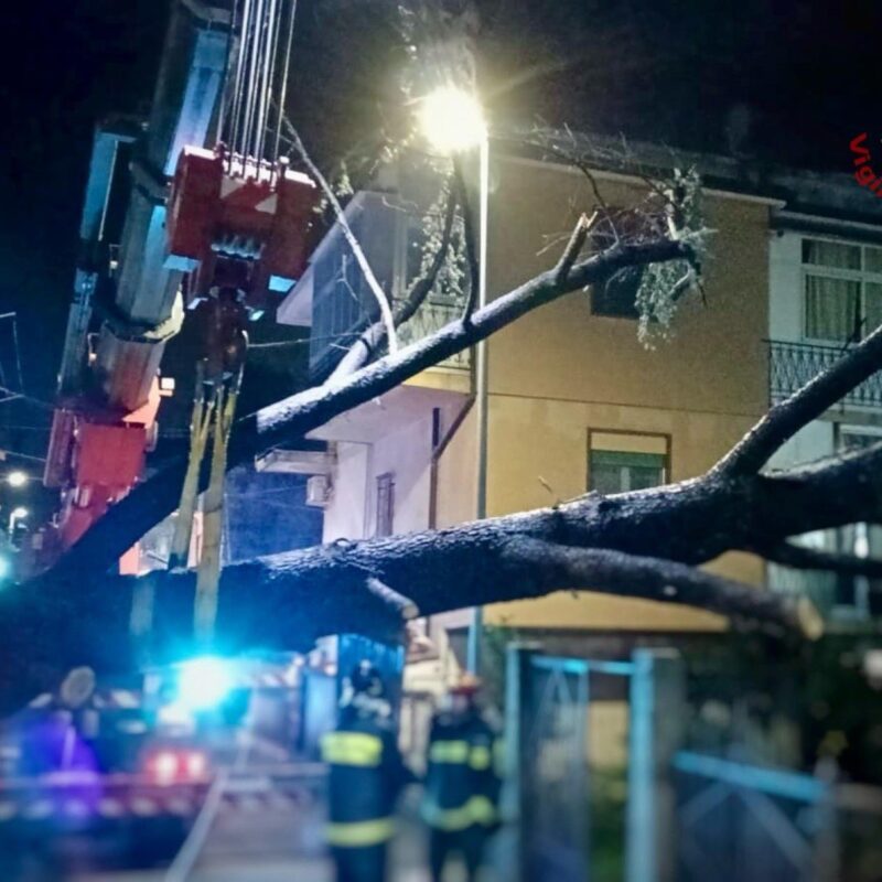Un intervento dei vigili del fuoco che nelle ultime 24 ore hanno effettuato 360 interventi per alberi pericolanti e dissesti statici.Messina 13 febbraio 2026 UFFICIO STAMPA VIGILI DEL FUOCO -NPK