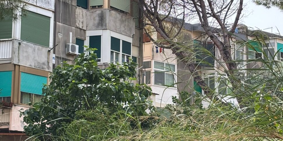 Il forte vento spazza Palermo, crollano alcuni alberi a Borgo Nuovo