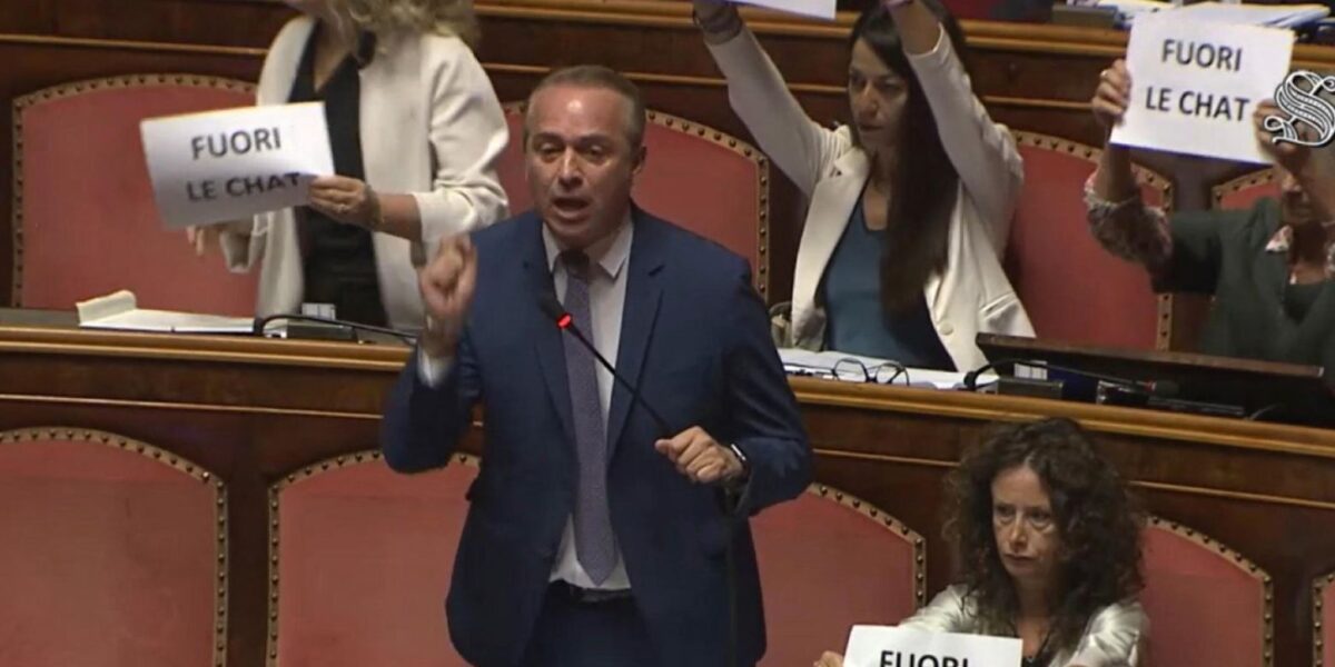 https://assets.gds.it/2026/07/Fuori-le-chat-la-protesa-al-Senato-del-Movimento-Cinque-stelle-1200x600.jpg