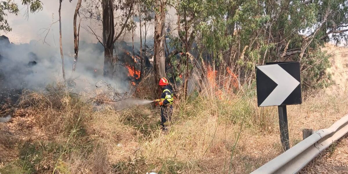 https://assets.gds.it/2026/07/pompiere-in-azione-incendi-1200x600.jpeg