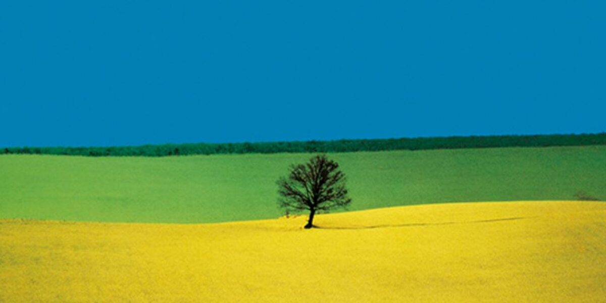 Addio A Franco Fontana Maestro Della Fotografia E Del Colore addio-a-franco-fontana-maestro-della-fotografia-e-del-colore